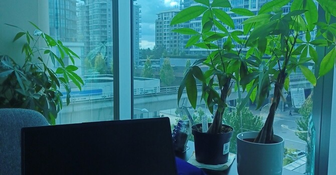 Dr Handford Opens New Office in Richmond image