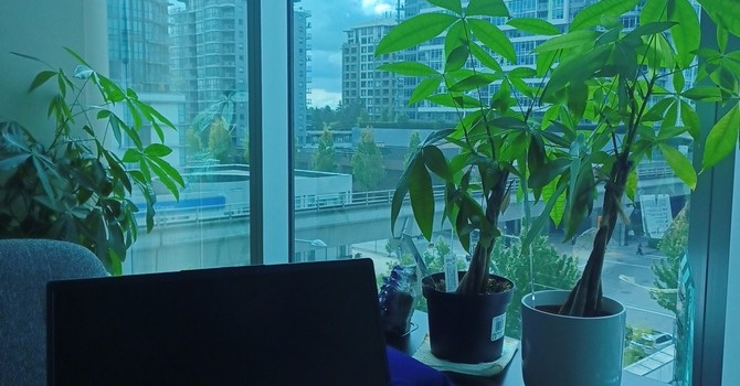 Dr Handford Opens New Office in Richmond image