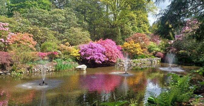 Spring is a Time for Renewal image