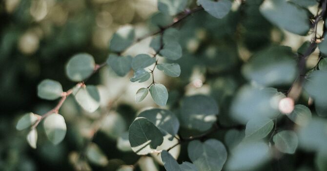 New Workshop Announced for January 2026 image