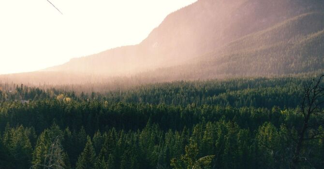 Date Change for Love Your Liver Workshop! image