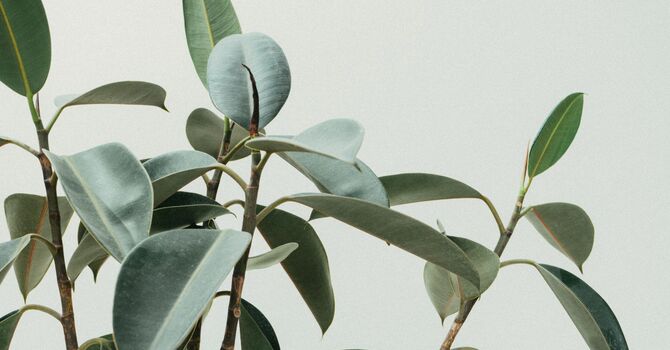 New Workshops Announced for 2026 image