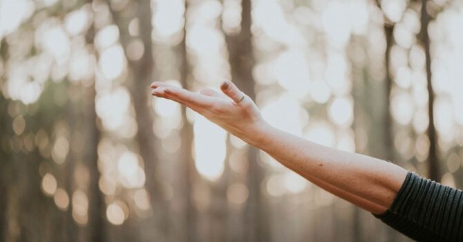 New Workshops Announced for 2026 image