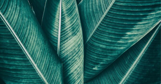 New Workshop Announced for January 2026 image