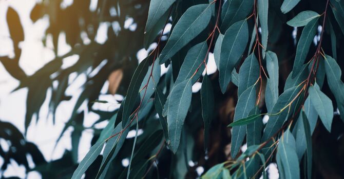 New Workshop Announced for January 2026 image